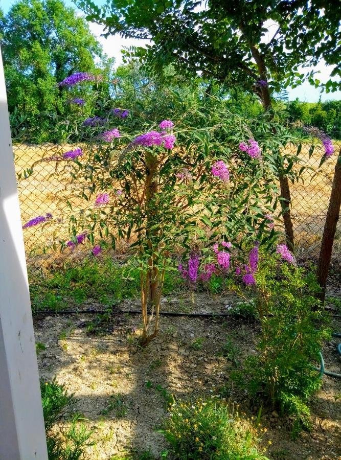 ريكاناتي La Casa Di Tara B&B Armonia E Natura المظهر الخارجي الصورة