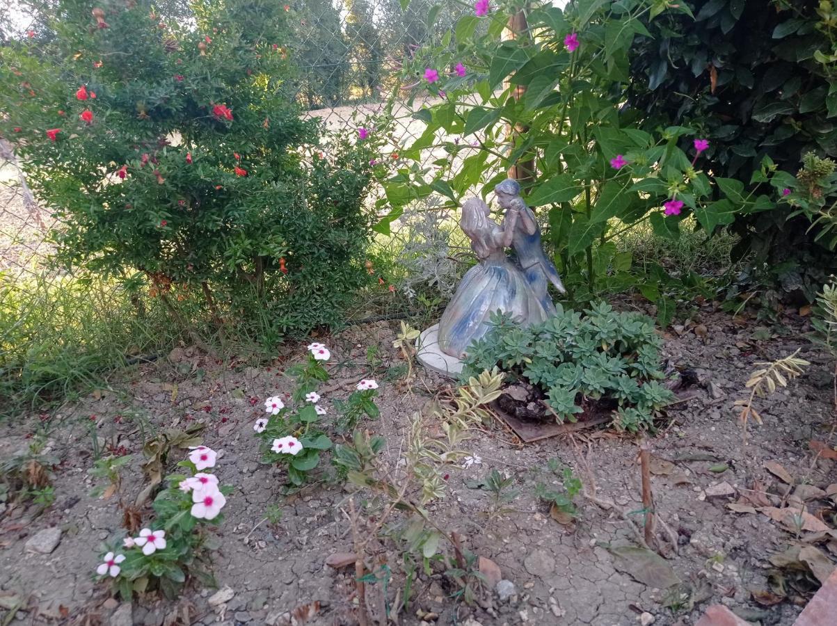 ريكاناتي La Casa Di Tara B&B Armonia E Natura المظهر الخارجي الصورة