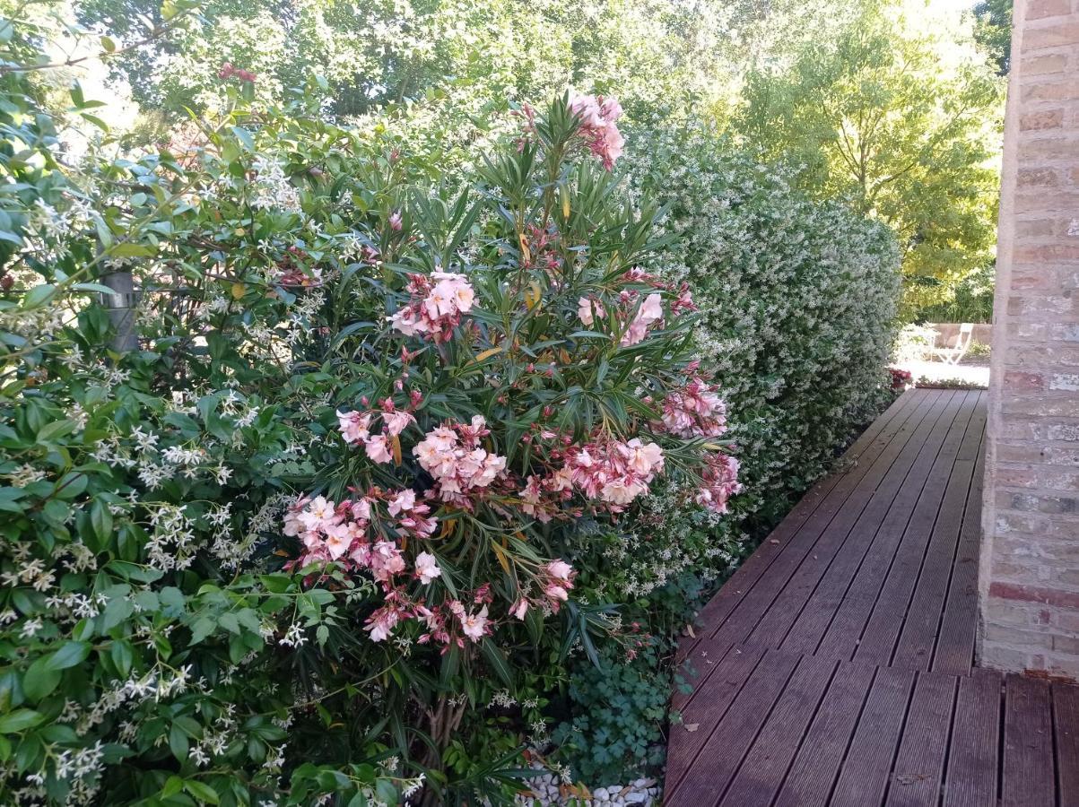 ريكاناتي La Casa Di Tara B&B Armonia E Natura المظهر الخارجي الصورة