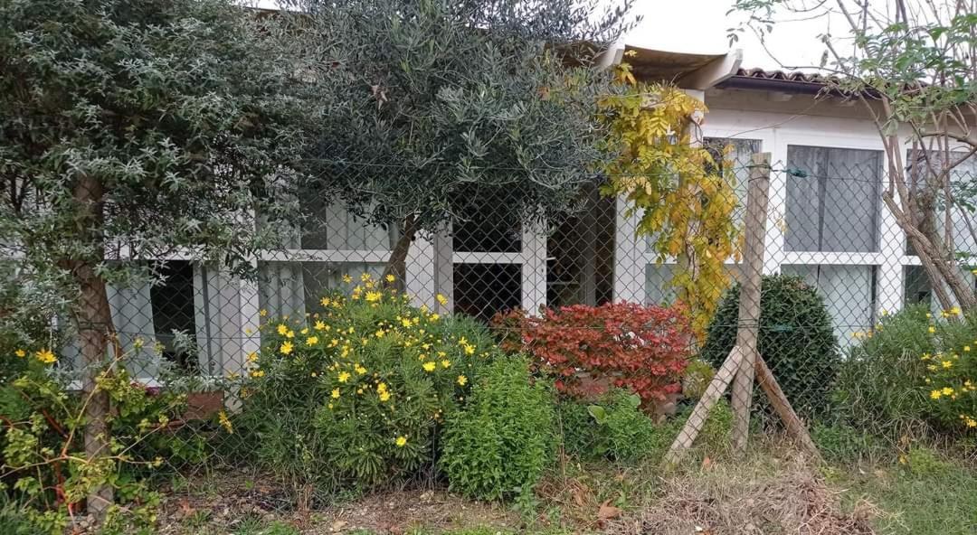 ريكاناتي La Casa Di Tara B&B Armonia E Natura المظهر الخارجي الصورة