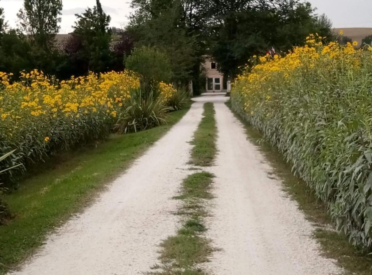 ريكاناتي La Casa Di Tara B&B Armonia E Natura المظهر الخارجي الصورة