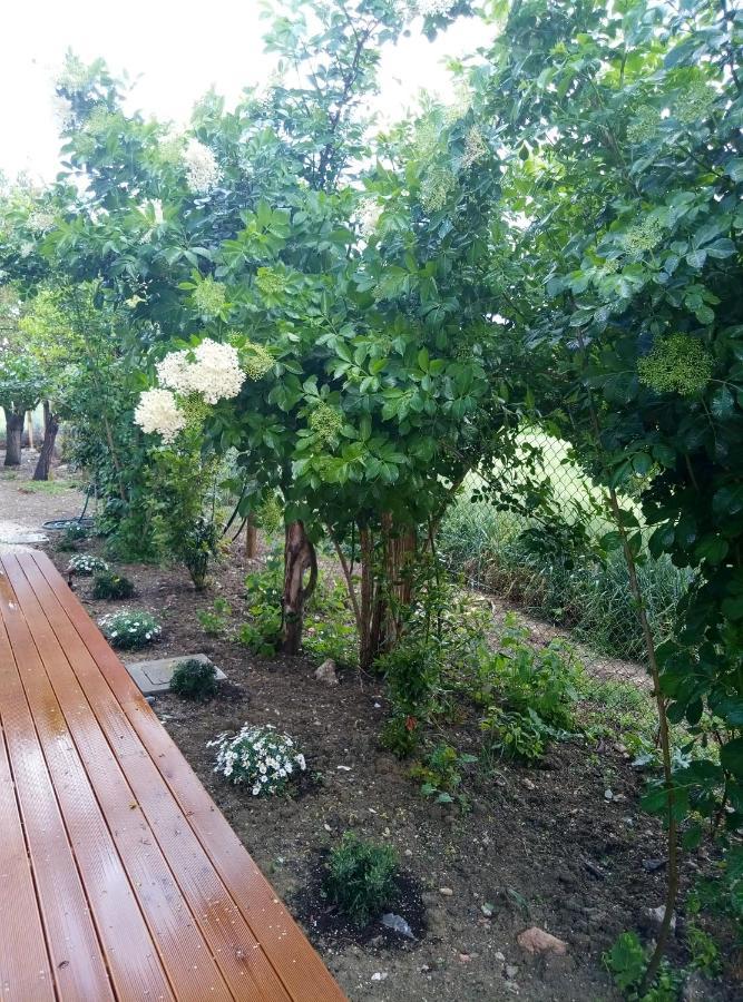 ريكاناتي La Casa Di Tara B&B Armonia E Natura المظهر الخارجي الصورة